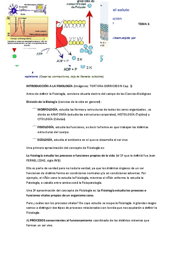 Miniatura del documento PREGUNTAS IMPORTANTES PRIMER PARCIAL.pdf