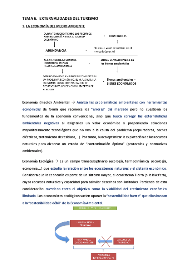 Miniatura del documento Tema-6-Externalidades-del-turismo.pdf