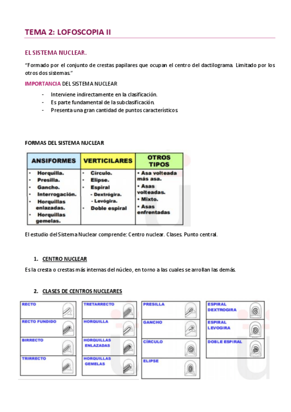 Miniatura del documento LOFOSCOPIA-II.pdf