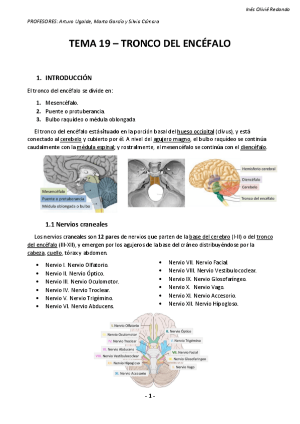 Miniatura del documento Tema-19-Tronco-del-encefalo-.pdf