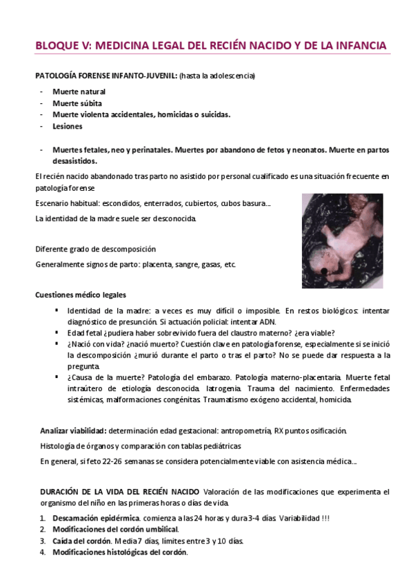 Miniatura del documento BLOQUE-V.pdf