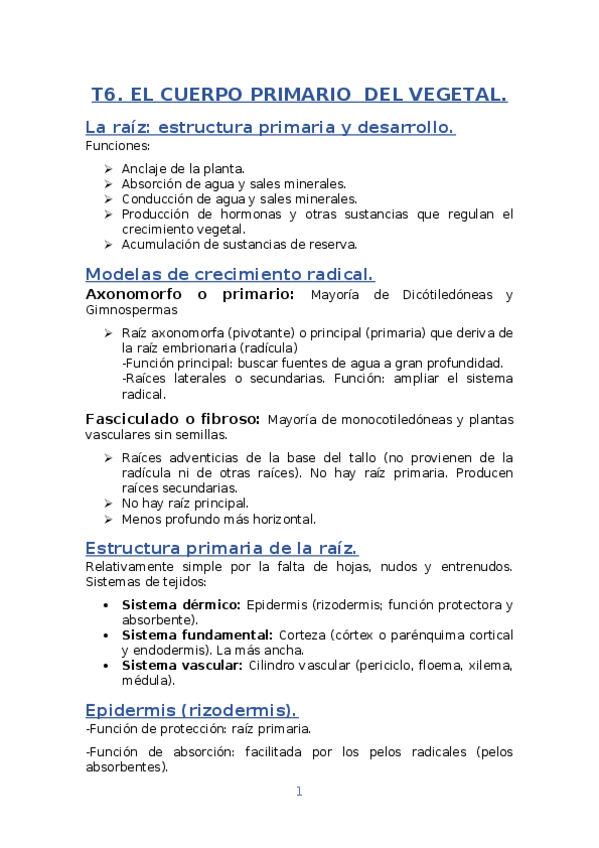 Miniatura del documento T6.docx