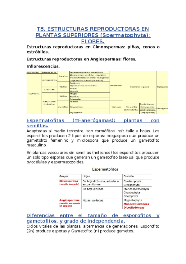 Miniatura del documento T8.docx