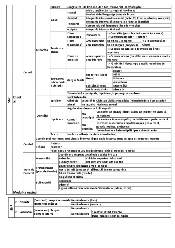 Miniatura del documento ESQUEMA PETIT.pdf
