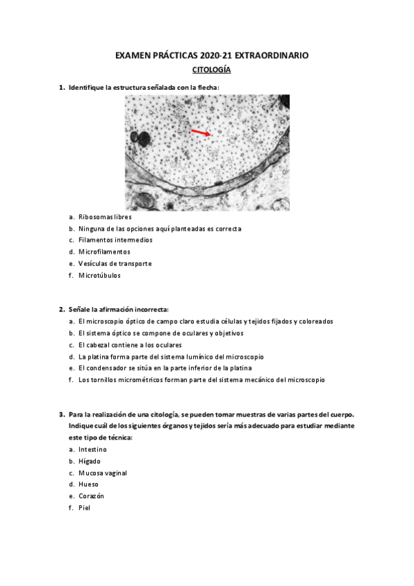 Miniatura del documento Examen Prácticas Extraordinario CHyDH 2020-21.pdf