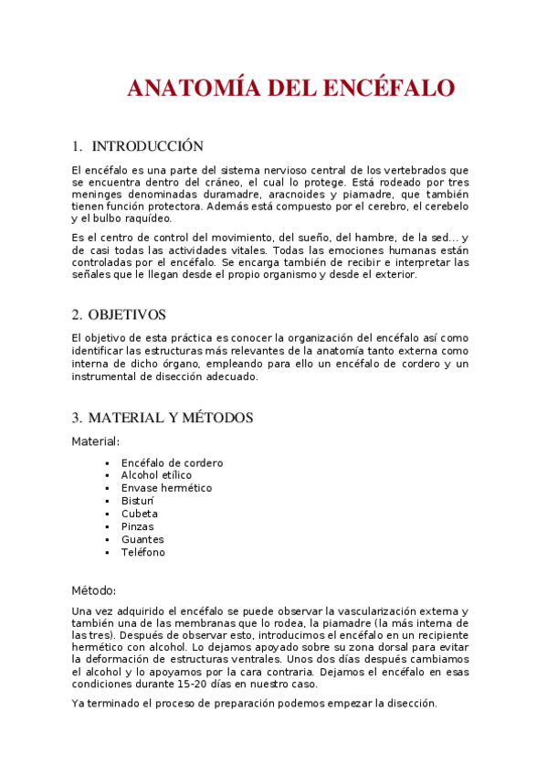 Miniatura del documento ANATOMIA-DEL-ENCEFALO.docx