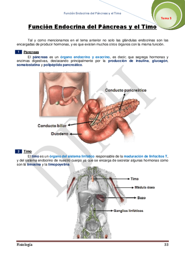 Miniatura del documento 5.pdf