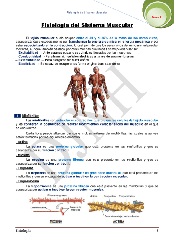 Miniatura del documento 1.pdf