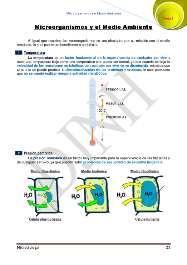 Miniatura del documento 6.pdf
