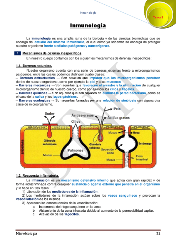 Miniatura del documento 9.pdf