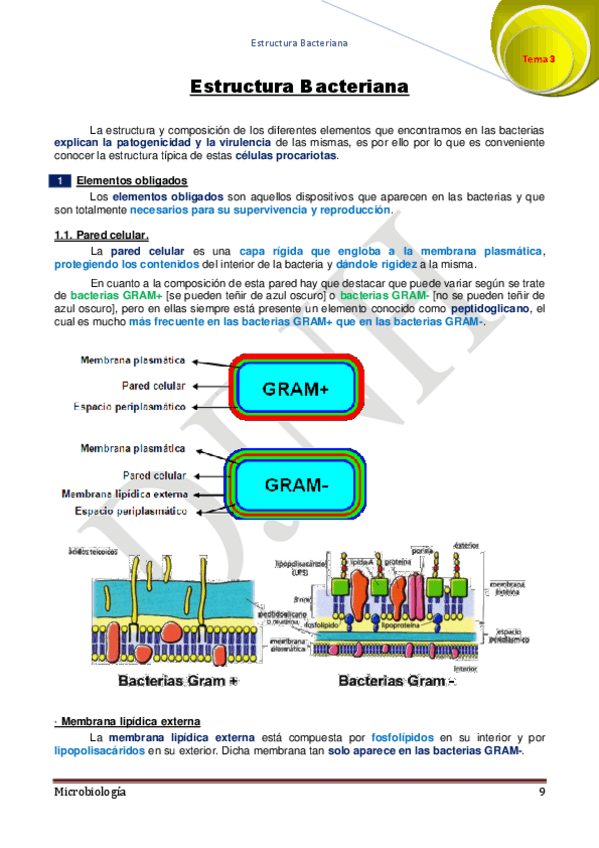 Miniatura del documento 3.pdf