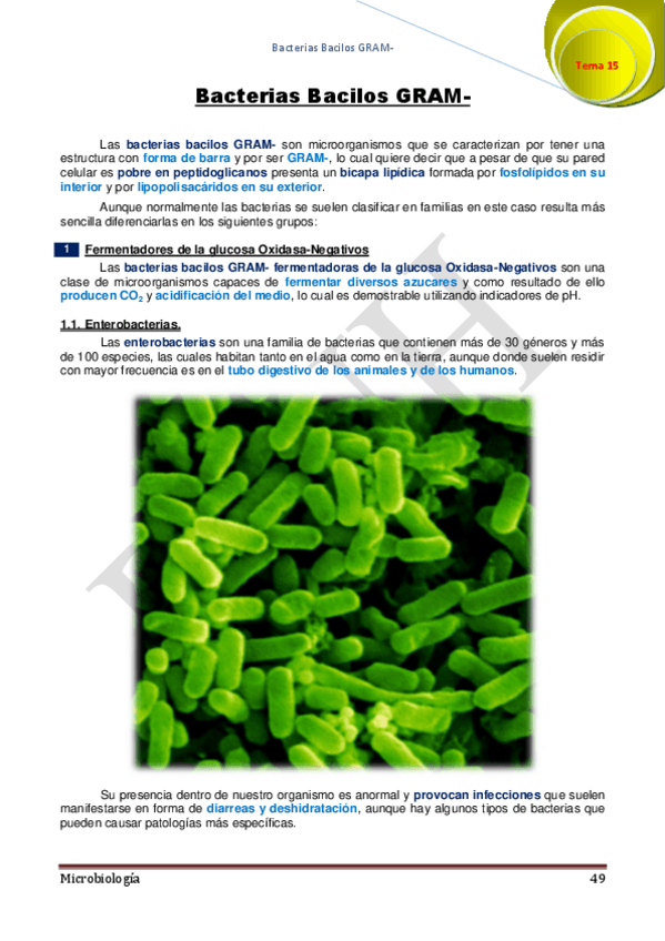 Miniatura del documento 15.pdf