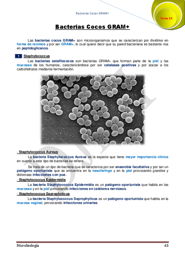 Miniatura del documento 12.pdf