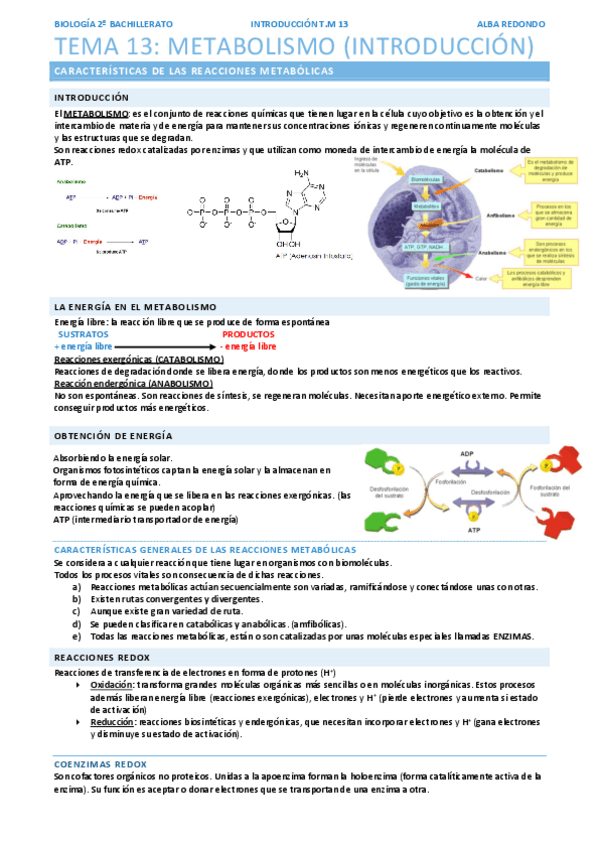 Miniatura del documento tema-13-parte-1.pdf