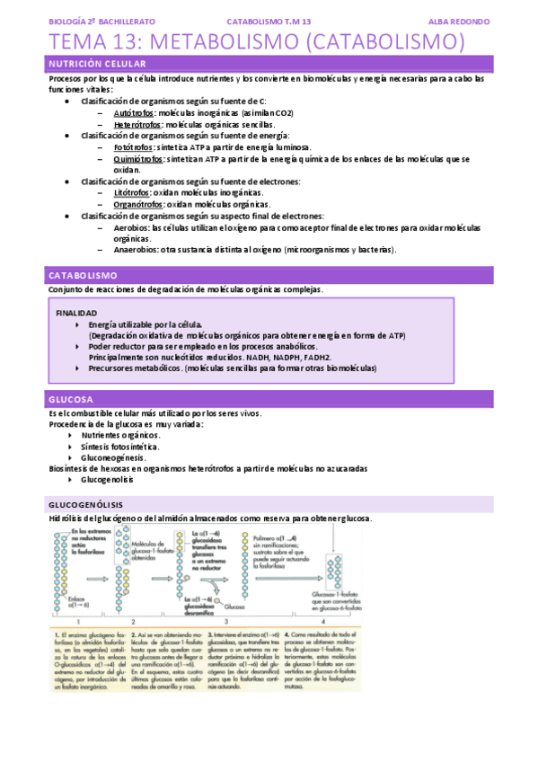 Miniatura del documento tema-13-parte-2.pdf