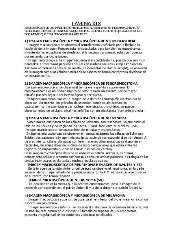 Miniatura del documento LAMINAS-TODO.pdf