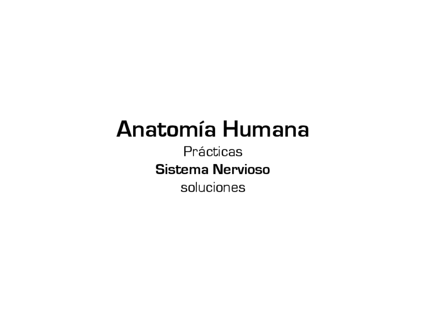 Miniatura del documento neuro_soluciones.pdf