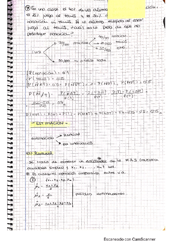 Miniatura del documento estimacion.pdf