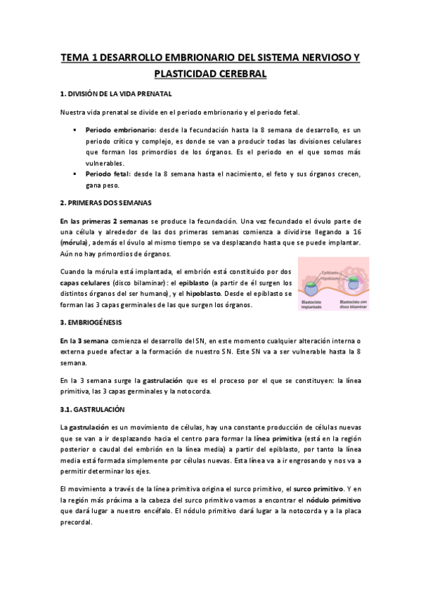 Miniatura del documento TEMA-1-DESARROLLO-EMBRIONARIO-DEL-SISTEMA-NERVIOSO-Y-PLASTICIDAD-CEREBRAL.pdf