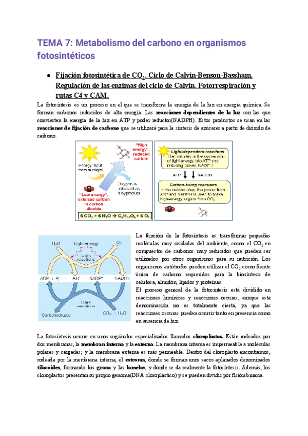 Miniatura del documento APUNTES-REGULACION-TEMAS-7-19.pdf