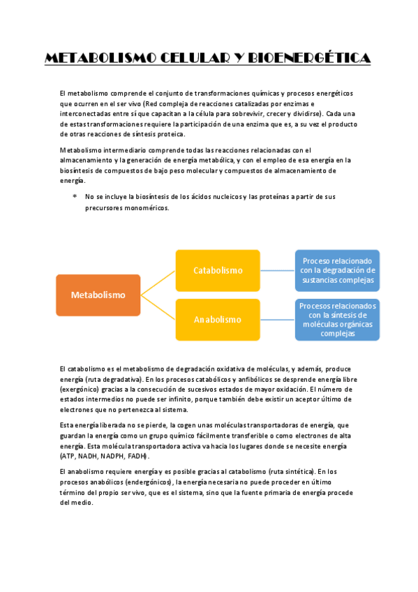 Miniatura del documento METABOLISMO-CELULAR-Y-BIOENERGETICA.pdf