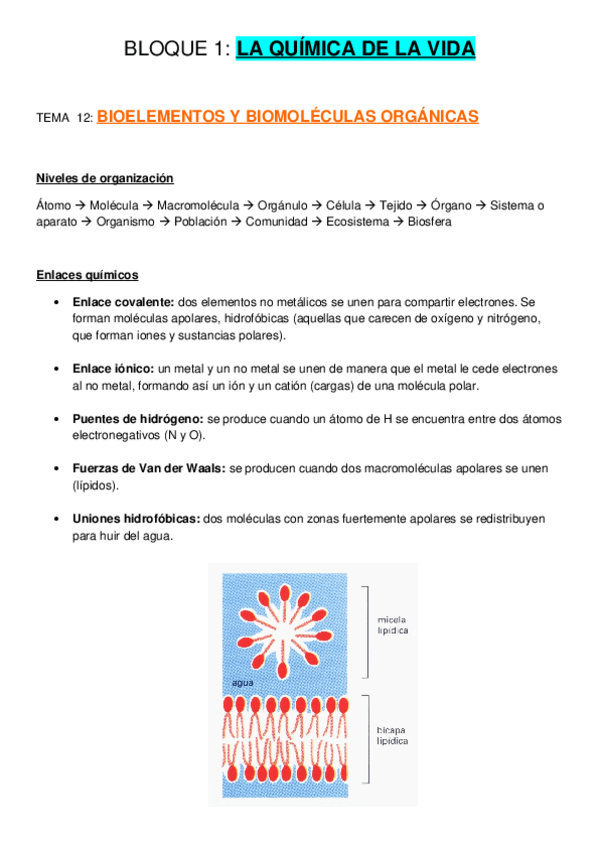 Miniatura del documento Apuntes-completos.docx