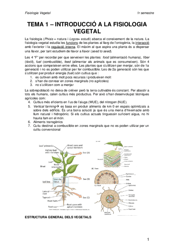 Miniatura del documento FV-1-8-word.docx