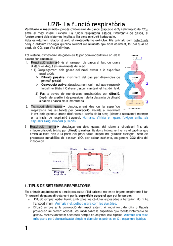Miniatura del documento Apunts 3r examen FA