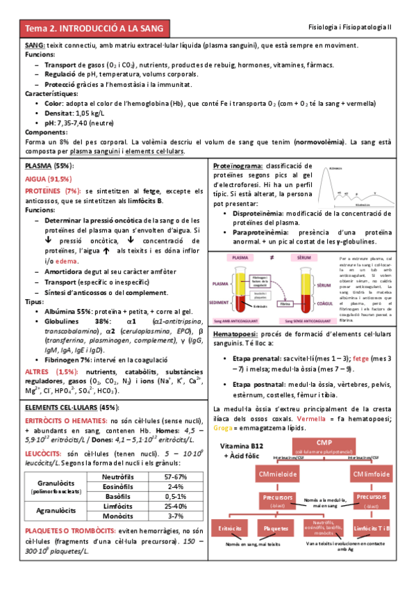 Miniatura del documento TOT-temari.pdf
