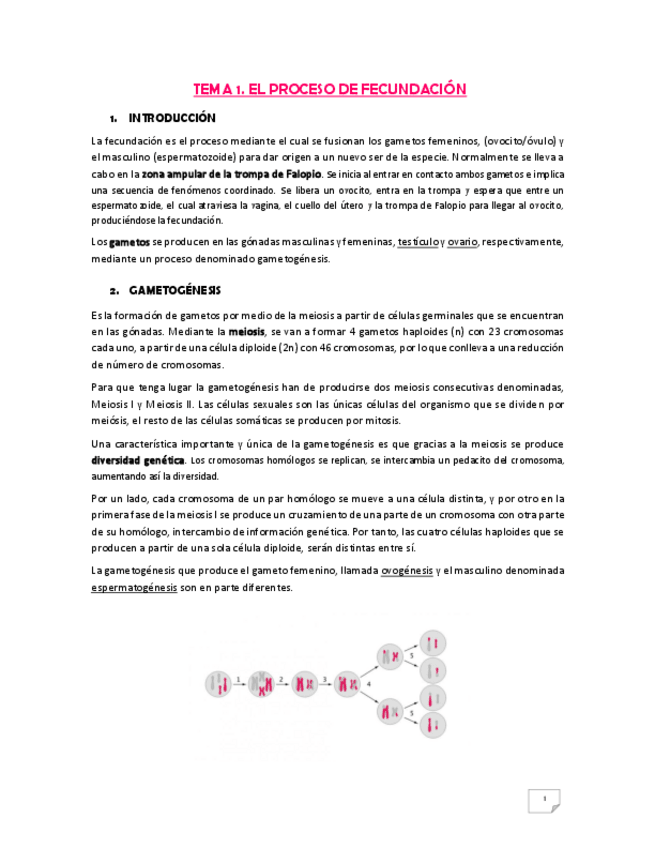 Miniatura del documento Tema-1.pdf