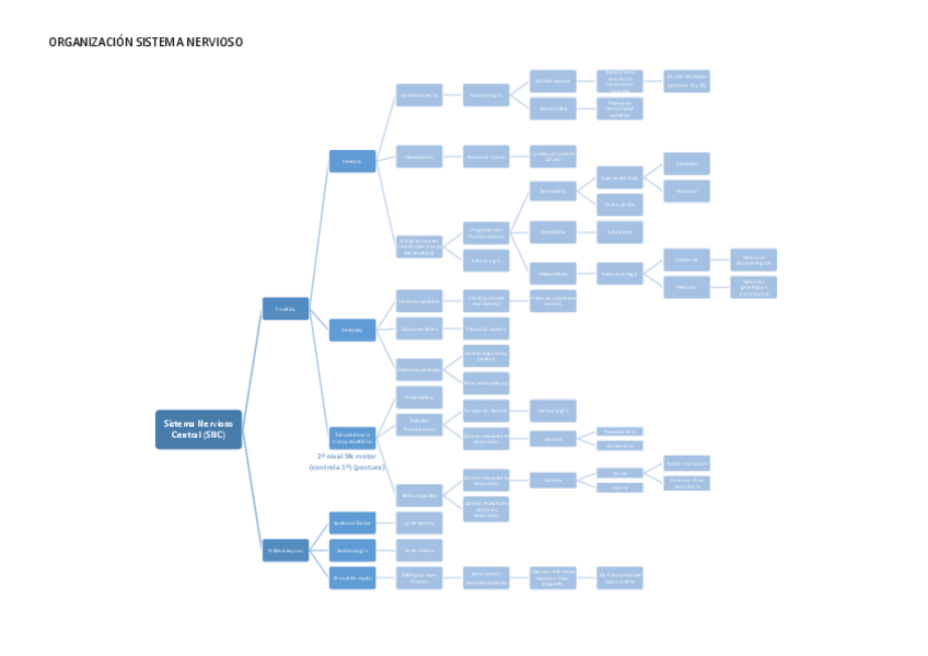 Miniatura del documento ORGANIZACION-SISTEMA-NERVIOSO.pdf