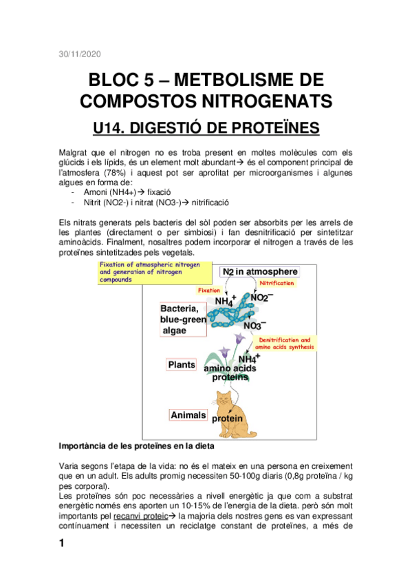 Miniatura del documento BLOC-5-BQM.docx