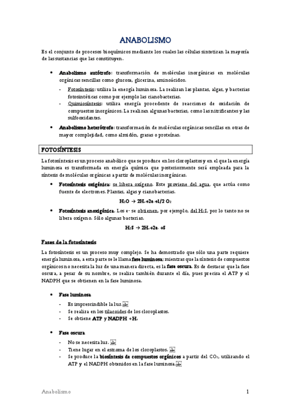 Miniatura del documento TEMA-13-Anabolismo.pdf