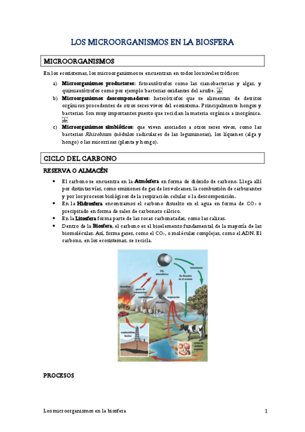 Miniatura del documento TEMA-19-Los-microorganismos-en-la-biosfera.pdf