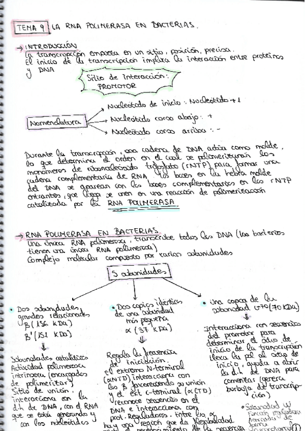 Miniatura del documento TEMA-9.pdf