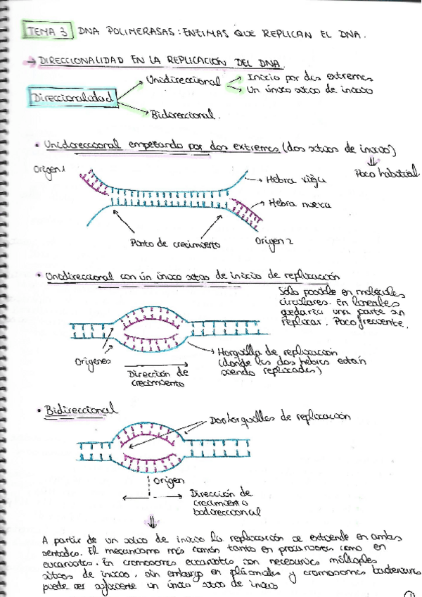 Miniatura del documento TEMA-3.pdf