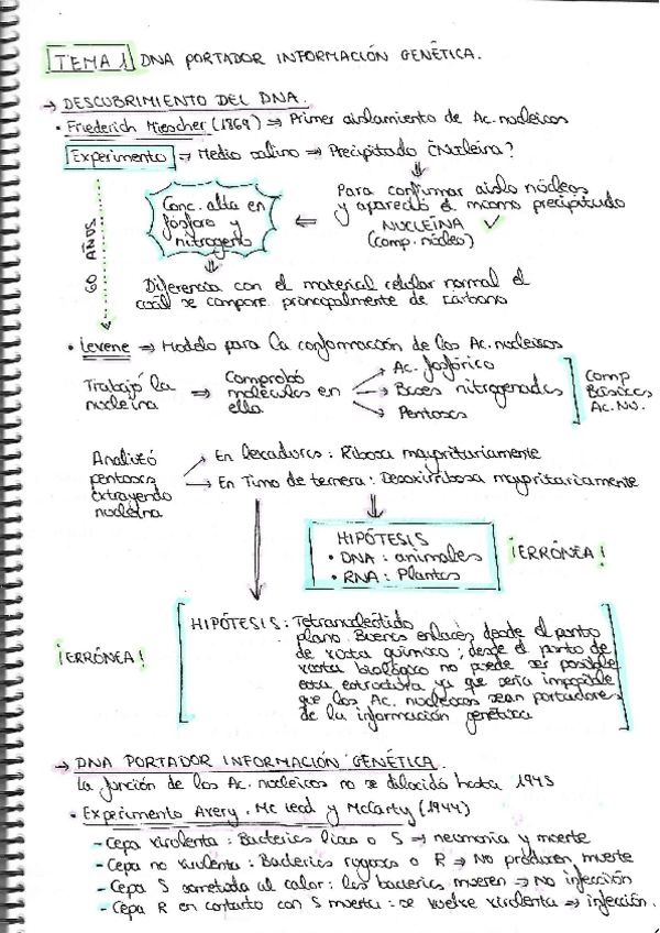 Miniatura del documento TEMA-1.pdf