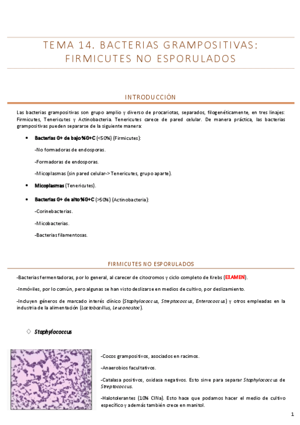 Miniatura del documento Tema-14removed.pdf