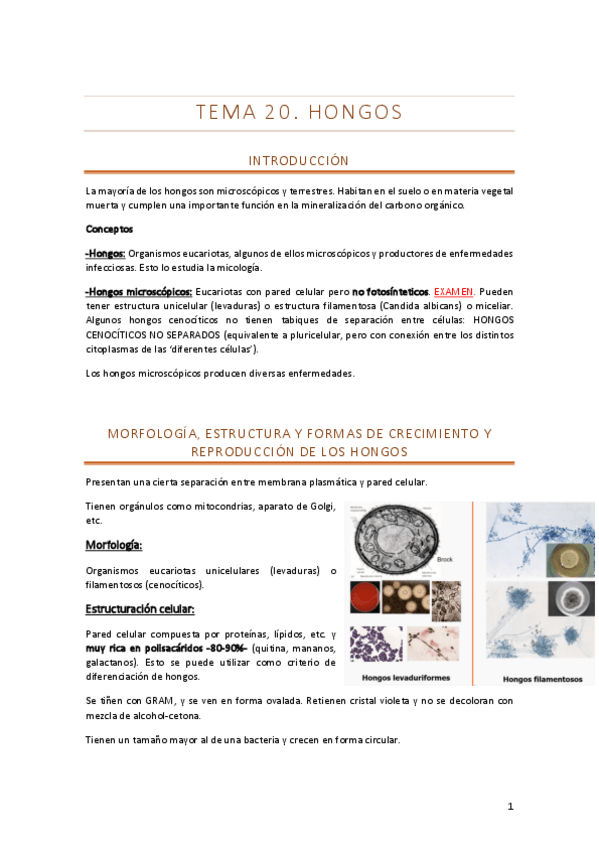 Miniatura del documento Tema-20.pdf