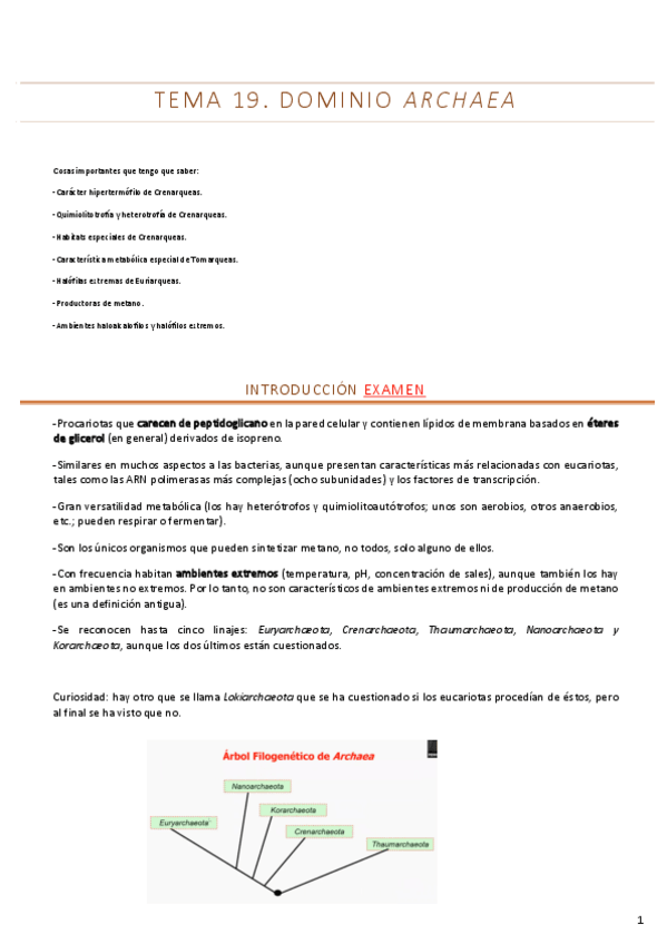 Miniatura del documento Tema-19removed.pdf
