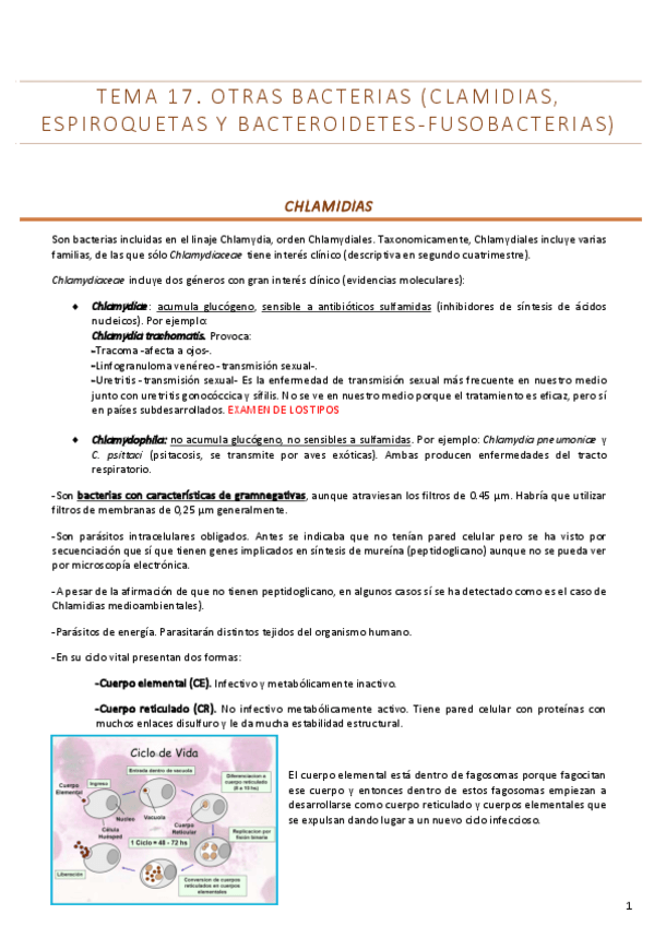 Miniatura del documento Tema-17.pdf
