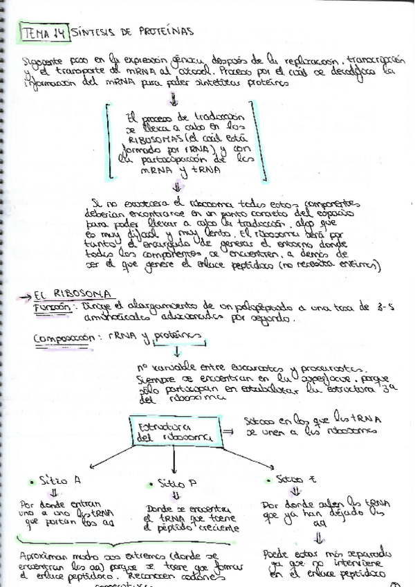 Miniatura del documento TEMA-14.pdf