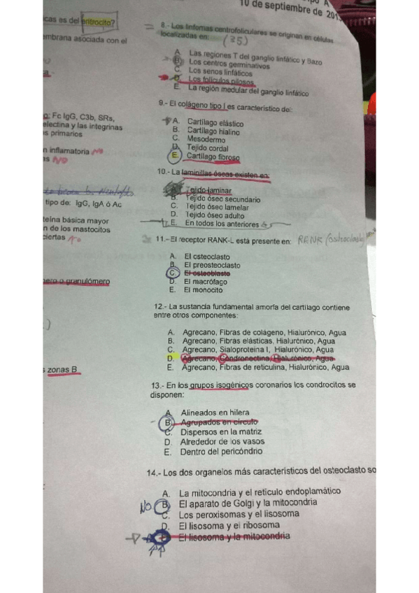 Miniatura del documento EXAMENES-HISTOLOGIA.pdf