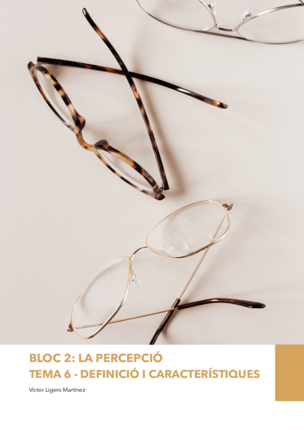 Miniatura del documento TEMA-6-DEFINICIO-I-CARACTERISTIQUES.pdf