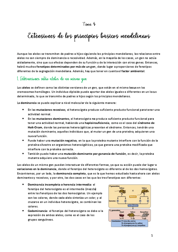 Miniatura del documento TEMA-4.pdf