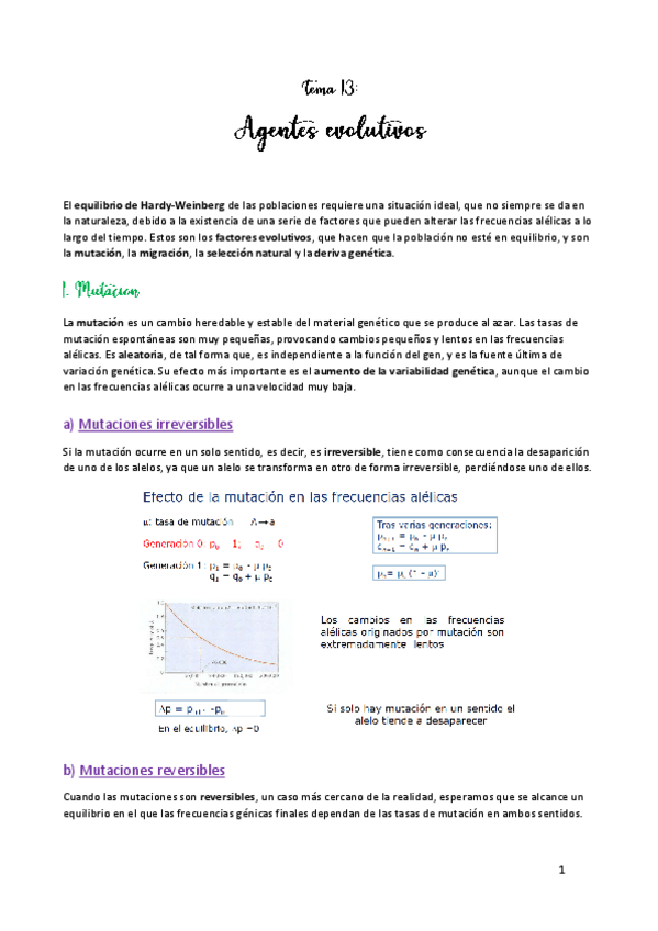 Miniatura del documento TEMA-13.pdf