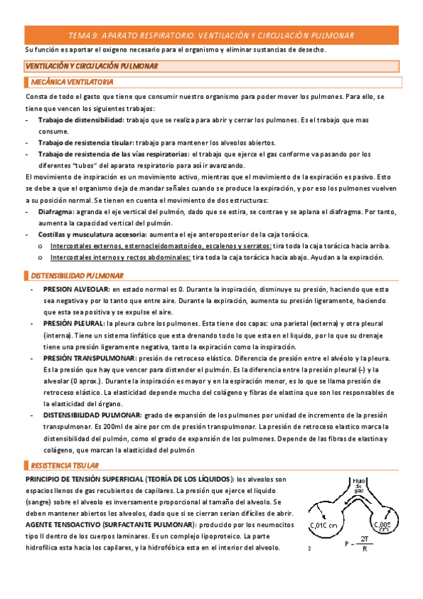Miniatura del documento TEMA-9-COMPLETO.pdf