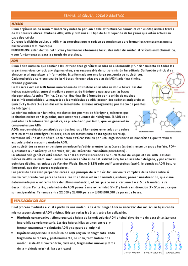 Miniatura del documento TEMA-3-COMPLETO.pdf