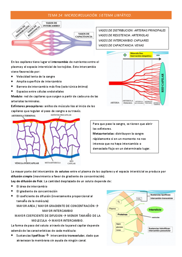 Miniatura del documento TEMA-14-COMPLETO.pdf