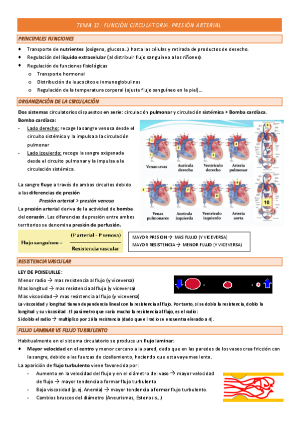 Miniatura del documento TEMA-12-COMPLETO.pdf